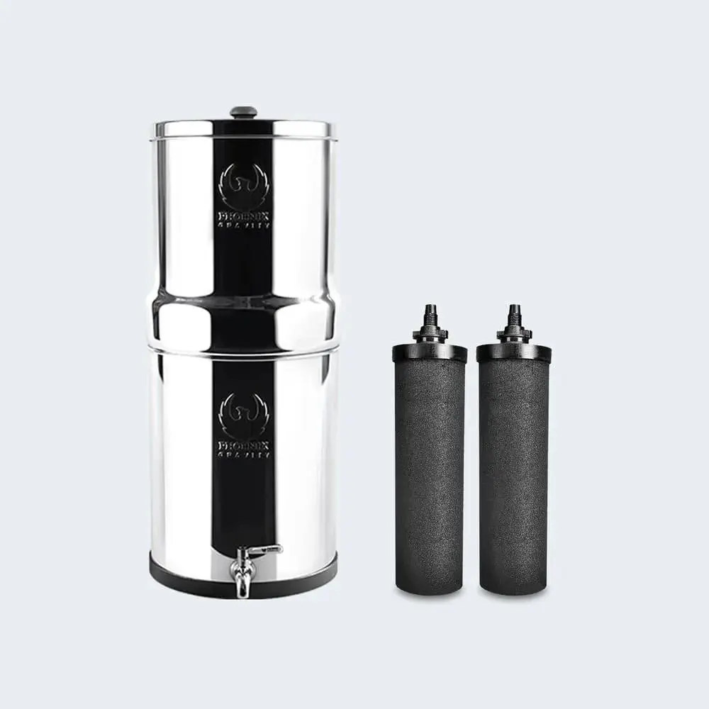 [P12C2F2D0] 6L filter +Postreat
